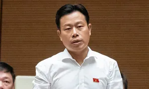 'Nhà khoa học nhận 50 triệu đồng nghiên cứu mỗi năm'